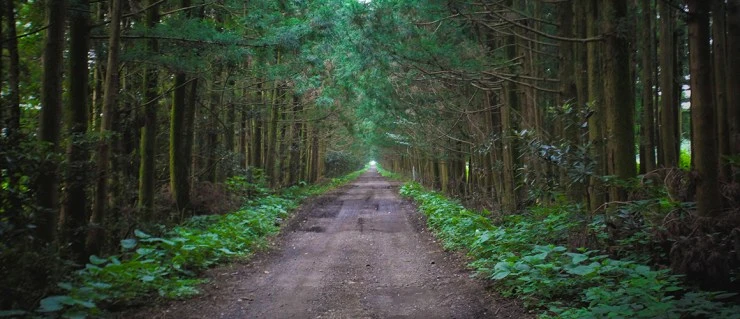 20170816004057323_G8GWN0EF.jpeg?resize740%2C319amp;ssl1