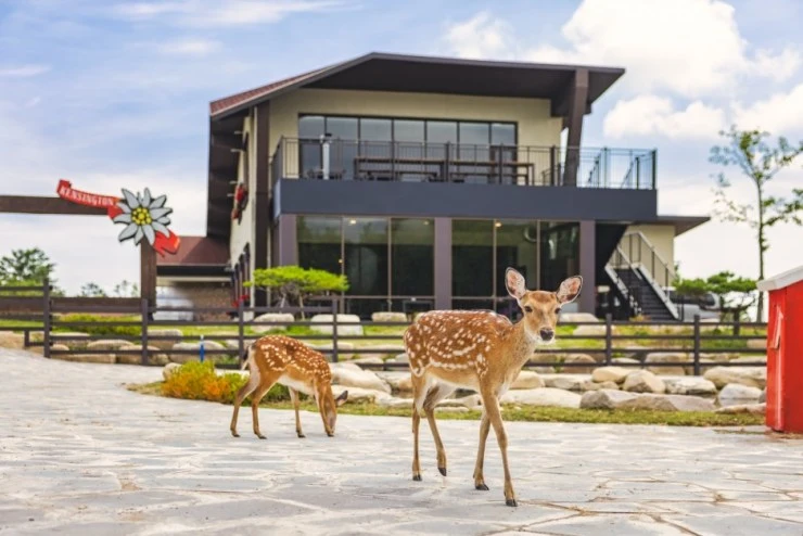 16-5.jpg?resize740%2C494amp;ssl1