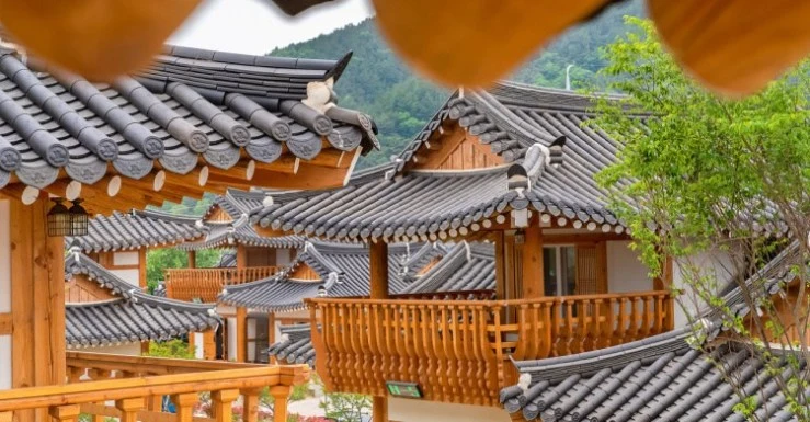 sh-main.jpg?w740ssl1