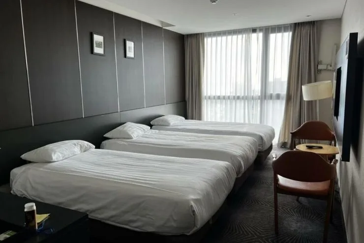 d32b5781-1024x683.jpg?resize740%2C494amp;ssl1