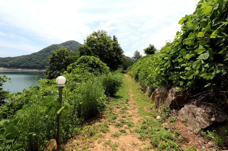 c2.jpg?resize740%2C493amp;ssl1