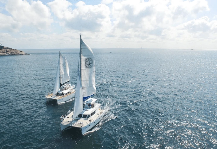 a-19.png?w=740&ssl=1