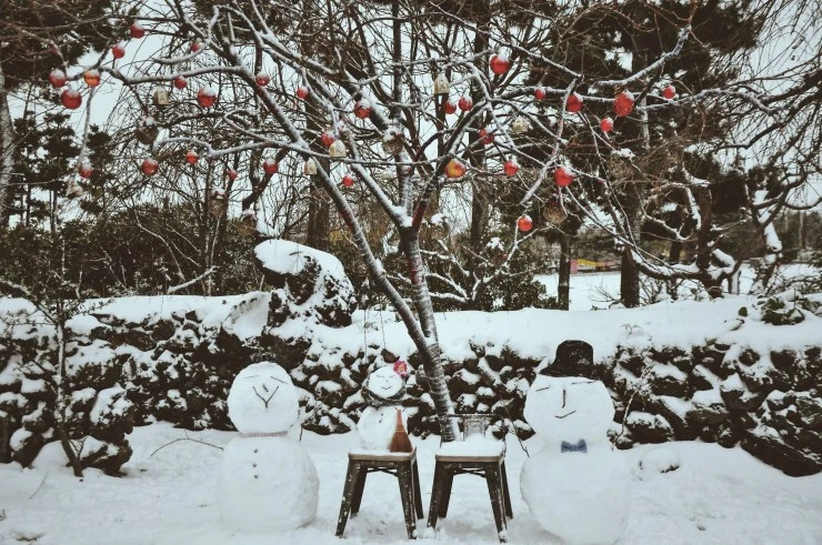 5B2632CD-B6FE-4243-B73A-2C0F23E12512.jpeg?resize=740%2C491&ssl=1