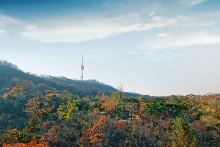 ce-8.png?resize=740%2C493&amp;ssl=1