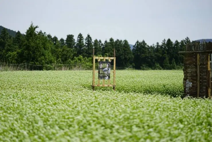 boromwahgt.jpg?fit=740%2C494&ssl=1