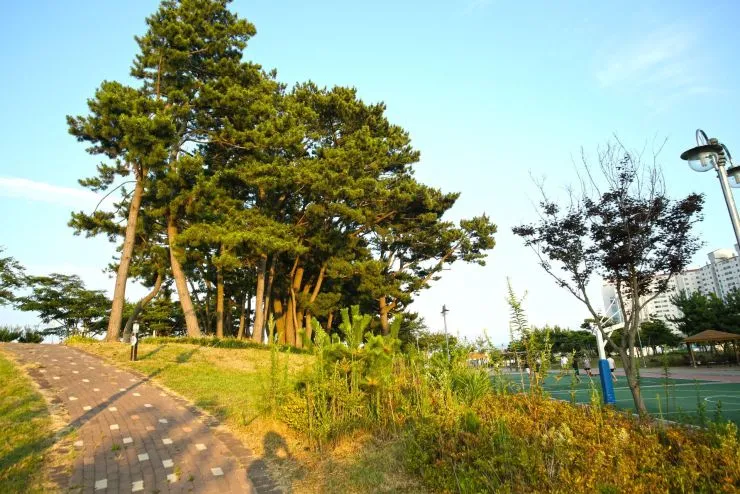 g-parkk.jpg?resize740%2C494ssl1