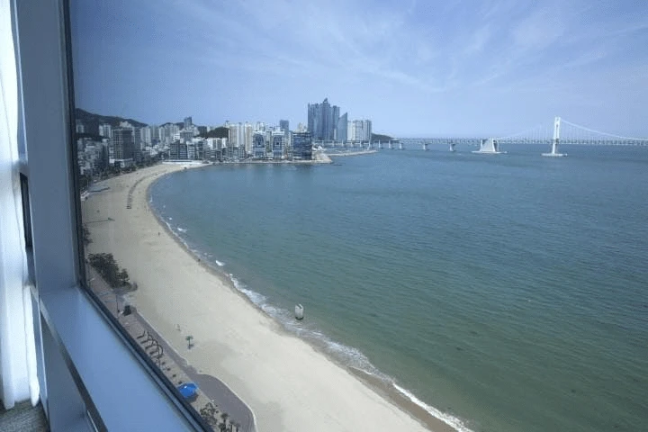 ac-1.png?w=740&ssl=1