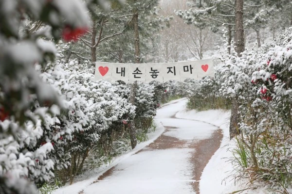 thumb-62fd2bea67068c120810daf50c5c8741_1608793247_0058_600x400.jpeg?resize600%2C400ssl1