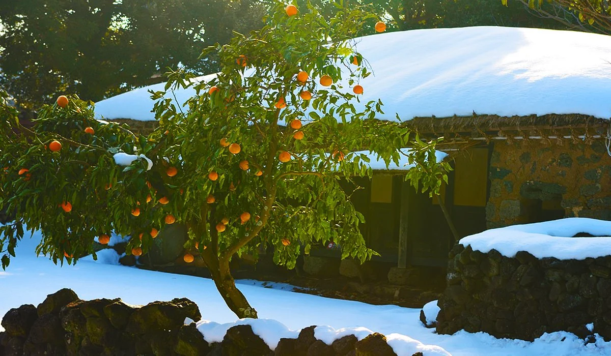 %EC%84%B1%EC%9D%8D%EB%AF%BC%EC%86%8D%EB%A7%88%EC%9D%842.jpg?type=w1200