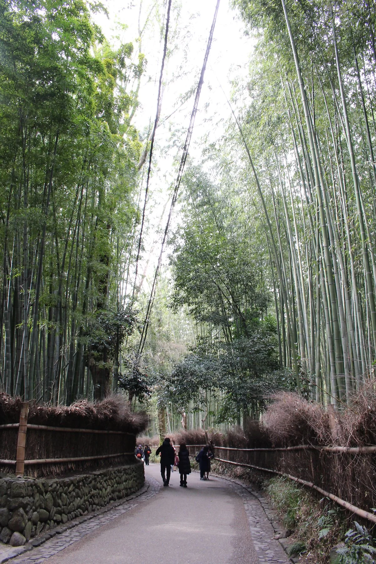 IMG_6015.JPG?type=w1200