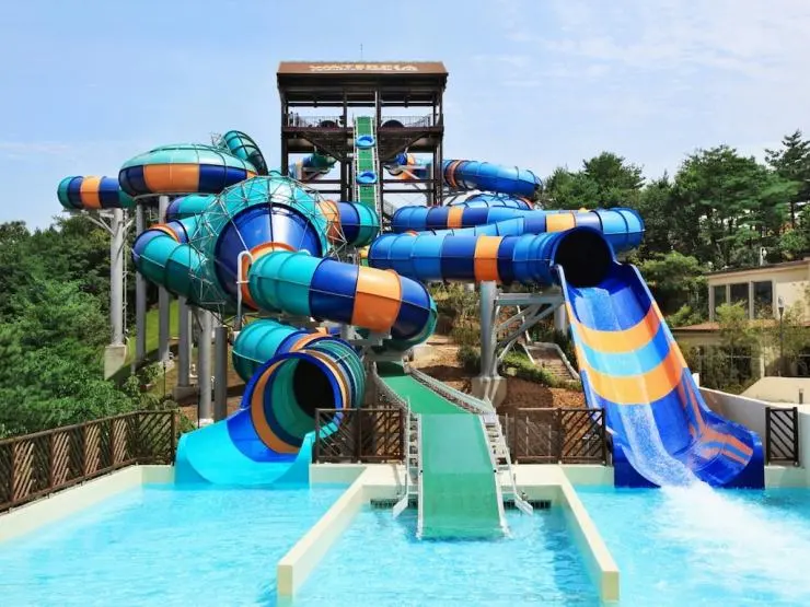 478745_16092616410046943091.jpg?resize740%2C555amp;ssl1