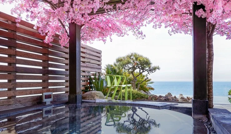 cea.jpg?resize=740%2C429&ssl=1