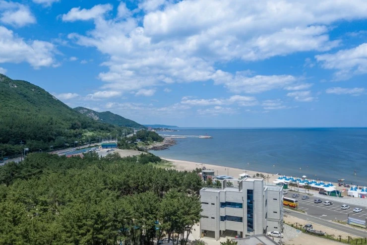 afa.jpg?resize740%2C494ssl1