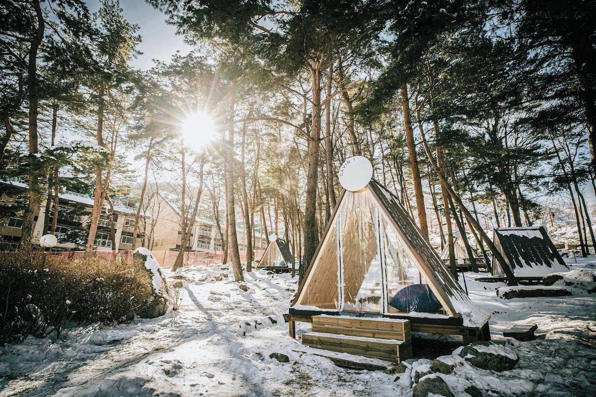 17160438.jpg?impolicy=resizecrop&rw=1200&ra=fit