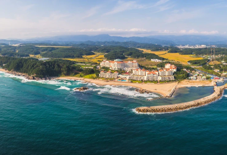 dd-2.png?w740amp;ssl1