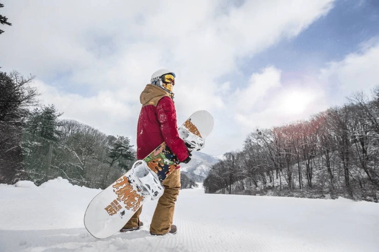 ba-8.png?resize740%2C493amp;ssl1