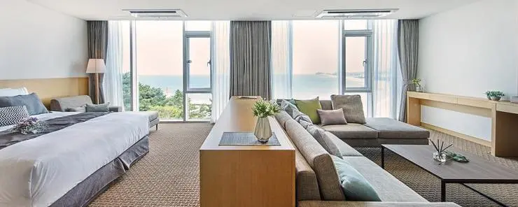 image.do-2.jpeg?resize740%2C296amp;ssl1