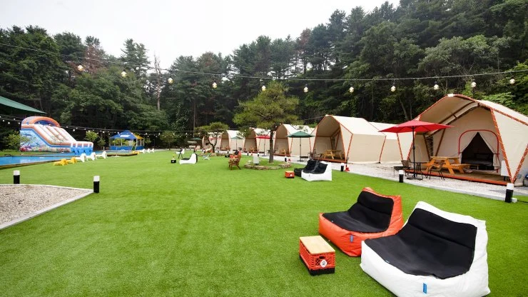 pine.jpg?fit=740%2C416&ssl=1