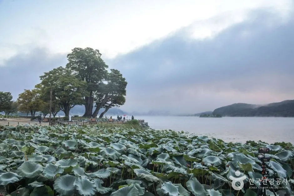 데이지호텔양평 (16).jpeg