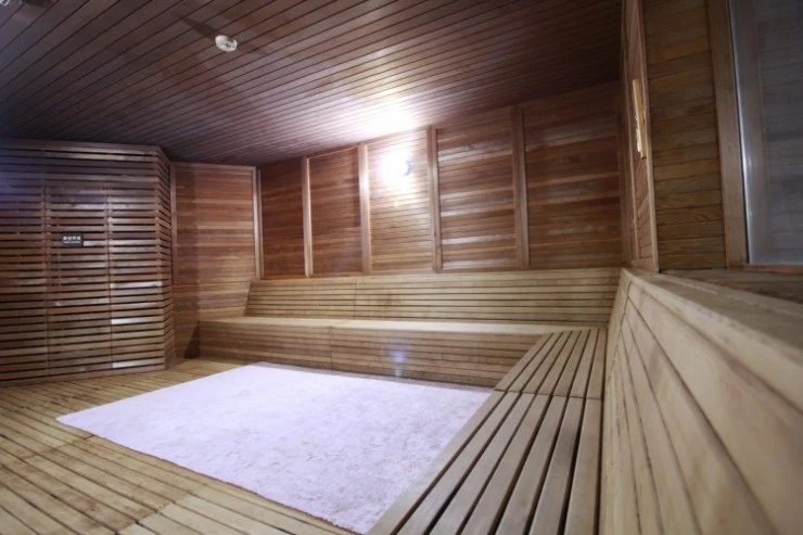 s-sauna2.jpg?resize740%2C493amp;ssl1