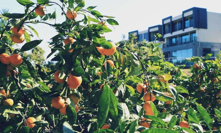 d-36.png?resize740%2C446ssl1