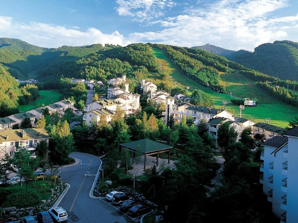 502323_16041107280041425637.jpg?typew1200