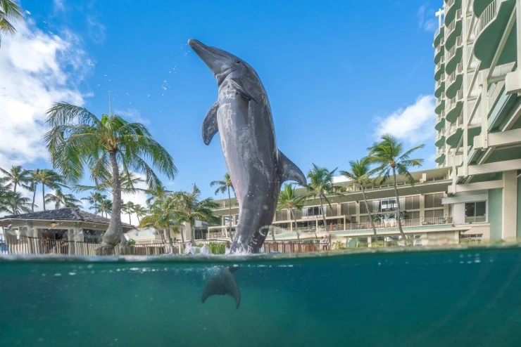 k2-2.jpg?resize740%2C494