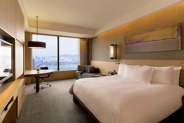 acc_premium08_big.jpg?resize740%2C493amp;ssl1