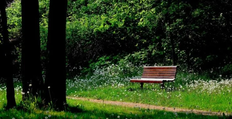 7-17-1024x524.jpg?resize740%2C379amp;ssl1