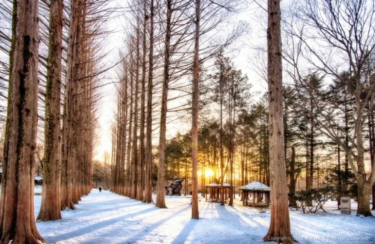 ca-4.jpg?resize=740%2C483&ssl=1