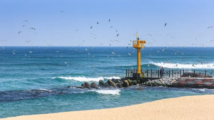 a-30.jpg?fit=740%2C416&ssl=1