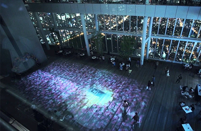 14846509284306.png?type=w1200