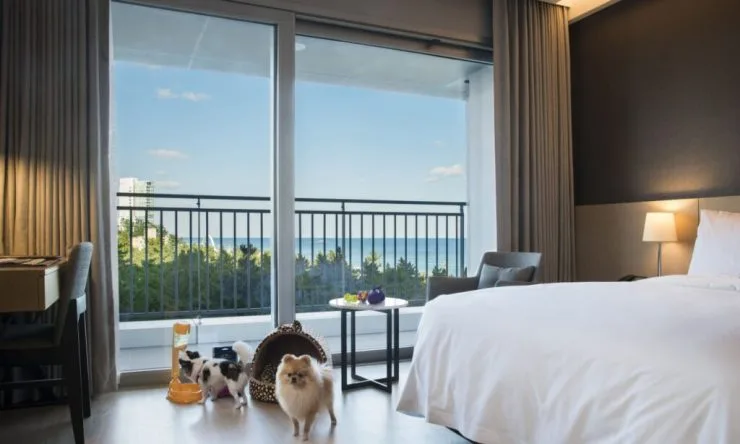 20220523_010054-1024x615.jpg?resize740%2C444amp;ssl1