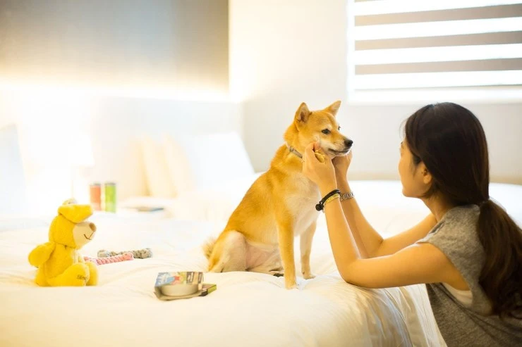 p4-1.jpg?resize=740%2C493&ssl=1