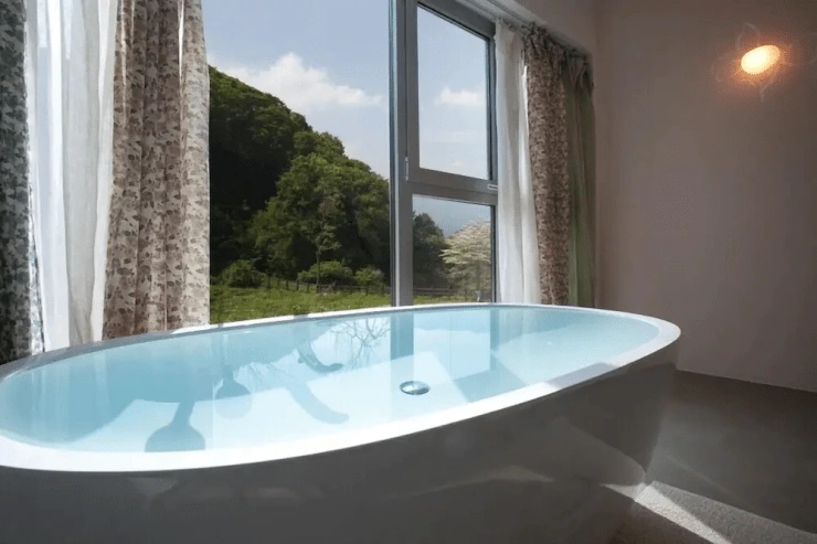 ae-18.png?resize740%2C493amp;ssl1