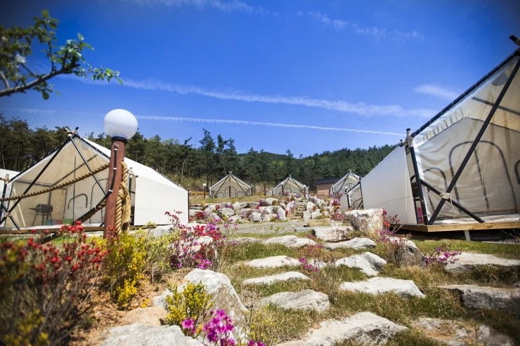 c-exx.jpg?fit740%2C493ssl1