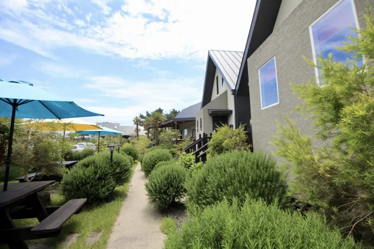 o-ex-scaled.jpg?fit740%2C494ssl1