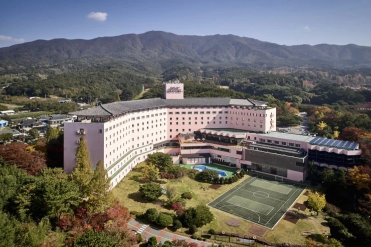 20210402_231920.jpg?resize740%2C494ssl1