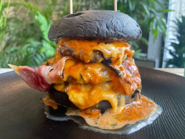 aa.jpg?resize740%2C555ssl1