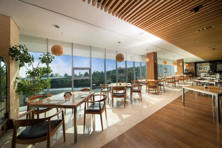 5a1e69d76277b465c2d4d84e467772e1.webp?resize740%2C494amp;ssl1