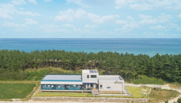 1-1-5-1024x586.jpg?resize740%2C423amp;ssl1