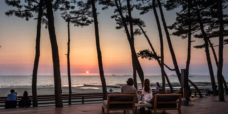 island_57-1.jpg?w=740&ssl=1