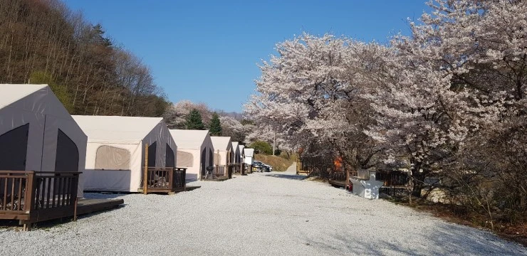 7750D47C-8E00-41F4-888F-6535A7A8EE62.jpeg?resize740%2C360ssl1