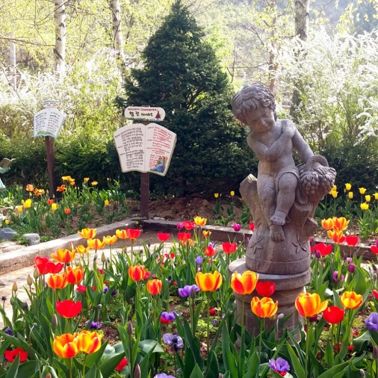 cc-4.jpg?resize740%2C740amp;ssl1