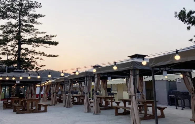 y-bbq-1-1024x649.jpg?resize740%2C469amp;ssl1