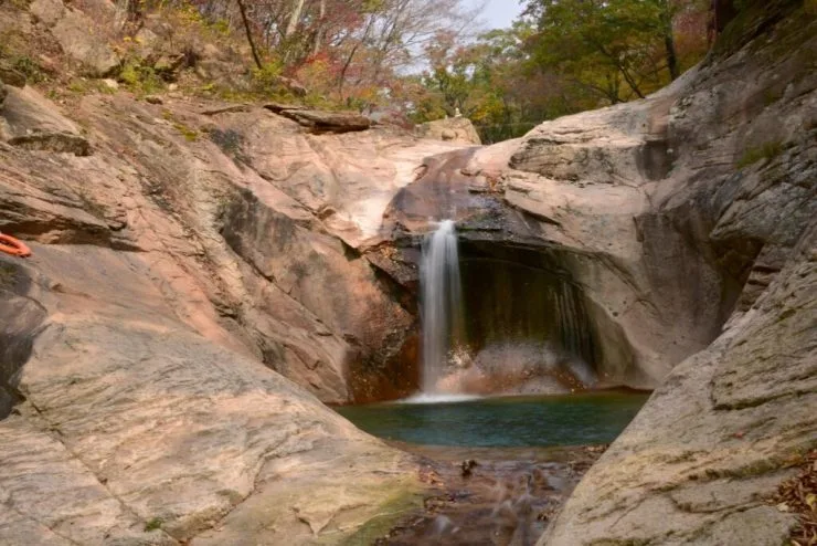 ys2-1024x683.jpg?resize740%2C494amp;ssl1