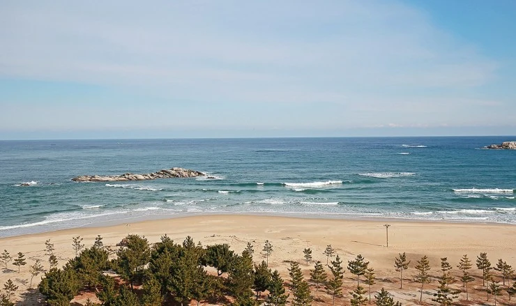 dad.jpg?resize740%2C439amp;ssl1