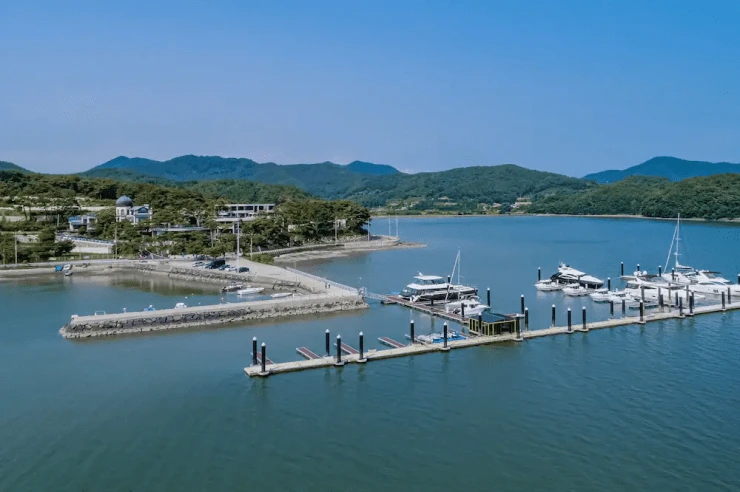 cd-5.png?w=740&amp;ssl=1