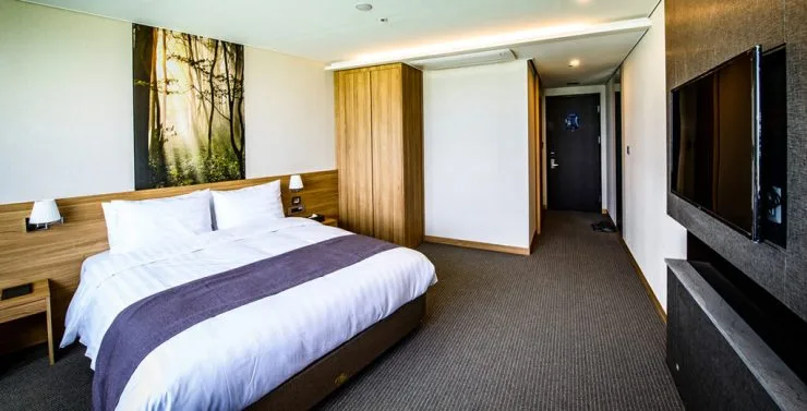 u2-1024x521.jpg?resize740%2C377amp;ssl1