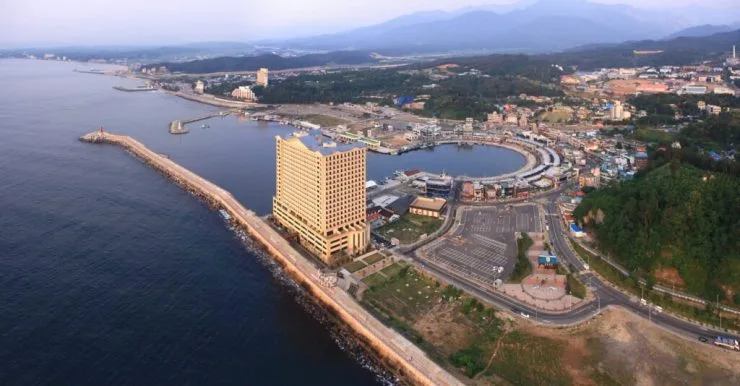 rex-1024x534.jpg?resize=740%2C386&amp;ssl=1